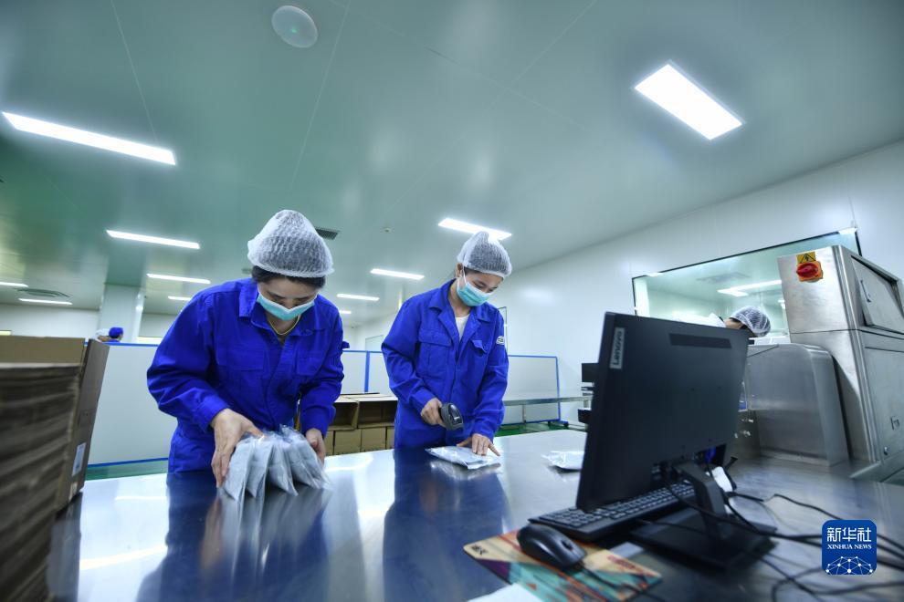 真人游戏平台app下载
